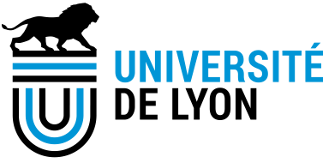 UNIVERSITÉ DE LYON